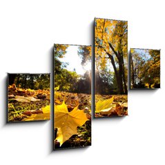 Obraz 4D tydln - 120 x 90 cm F_IB42033806 - Fall autumn park. Falling leaves in a sunny day