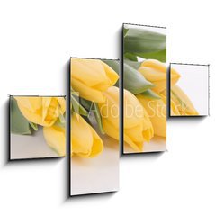 Obraz 4D tydln - 120 x 90 cm F_IB42120397 - Spring tulips isolated on white