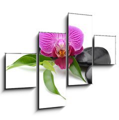 Obraz   orchid, 120 x 90 cm