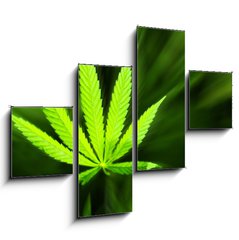 Obraz 4D tydln - 120 x 90 cm F_IB42226543 - Marijuana background - Marihuana pozad