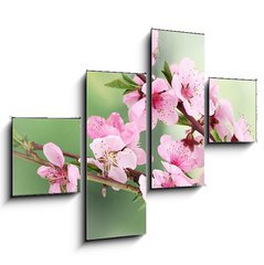 Obraz   beautiful pink peach blossom on green background, 120 x 90 cm