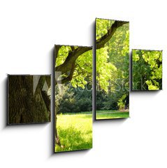 Obraz   Mighty oak tree, 120 x 90 cm