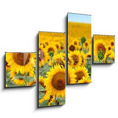 Obraz 4D tydln - 120 x 90 cm F_IB43246841 - Beautiful sunflower field