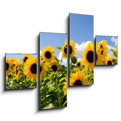 Obraz 4D tydln - 120 x 90 cm F_IB43441977 - Sonnenblumen