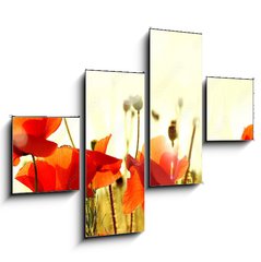 Obraz 4D tydln - 120 x 90 cm F_IB43890892 - mak