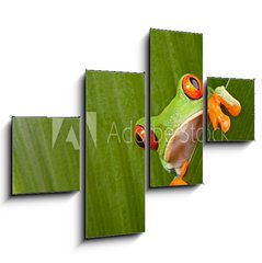 Obraz 4D tydln - 120 x 90 cm F_IB43998822 - red eyed tree frog peeping - erven oi strom ba peeping
