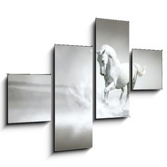 Obraz   White horse running through water, 120 x 90 cm