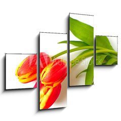 Obraz tydln 4D - 120 x 90 cm F_IB4410361 - tulpen - tulips