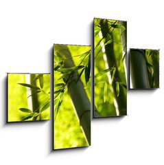 Obraz 4D tydln - 120 x 90 cm F_IB44190942 - Bamboo forest background. Shallow DOF - Bambusov pozad lesa. Mlk DOF