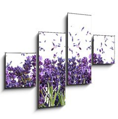 Obraz 4D tydln - 120 x 90 cm F_IB44305903 - fresh lavender flowers on white - erstv levandule kvtiny na blm