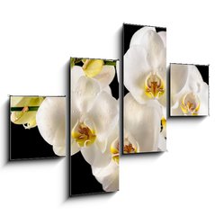 Obraz 4D tydln - 120 x 90 cm F_IB44455446 - White orchids on the black background