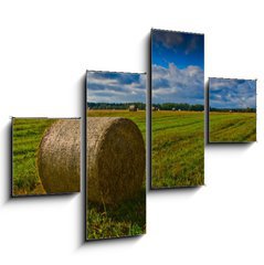 Obraz 4D tydln - 120 x 90 cm F_IB44784749 - Bale of Straw - Bale slmy