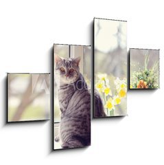 Obraz 4D tydln - 120 x 90 cm F_IB44792547 - cat sitting on the windowsill in the flowers on the background o - koka sed na parapetu v kvtech na pozad o