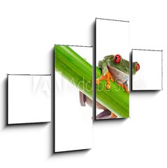 Obraz 4D tydln - 120 x 90 cm F_IB45099482 - Green Frog with red eye. - Zelen ba s ervenm okem.