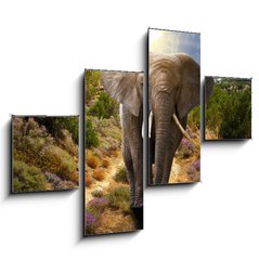 Obraz 4D tydln - 120 x 90 cm F_IB45496510 - Elephant walking on the road at sunset