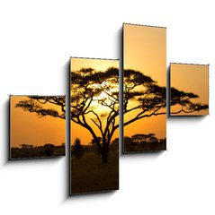 Obraz 4D tydln - 120 x 90 cm F_IB45762183 - Rising Sun shinning through an Acacia Tree in Serengeti - Stoupajc slunce se proln stromem akcie v Serengeti