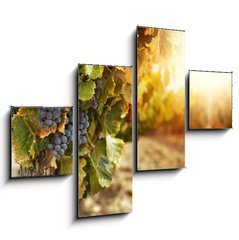 Obraz 4D tydln - 120 x 90 cm F_IB45924022 - Vineyards at sunset - Vinice pi zpadu slunce