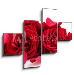 Obraz 4D tydln - 120 x 90 cm F_IB46400536 - beautiful red roses and petals isolated on white