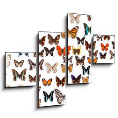 Obraz   butterflies, 120 x 90 cm