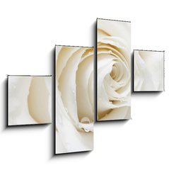 Obraz 4D tydln - 120 x 90 cm F_IB48880652 - white rose