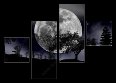 Obraz 4D tydln - 120 x 90 cm F_IB492013525 - moon, tree and starry sky