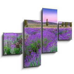 Obraz 4D tydln - 120 x 90 cm F_IB49777064 - Sunset over a summer lavender field in Tihany, Hungary