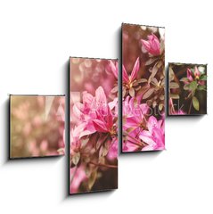 Obraz 4D tydln - 120 x 90 cm F_IB49992650 - Spring Azaleas in Soft Sunlight