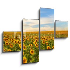 Obraz 4D tydln - 120 x 90 cm F_IB50744660 - sunflowers - slunenice