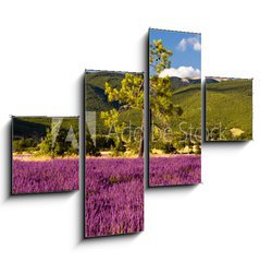 Obraz 4D tydln - 120 x 90 cm F_IB51603534 - Campi di Lavanda a Valensole Provenza, Francia