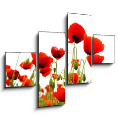 Obraz 4D tydln - 120 x 90 cm F_IB51629821 - coquelicots sur fond blanc