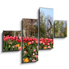 Obraz 4D tydln - 120 x 90 cm F_IB52173694 - Holland windmills and tulips