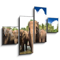 Obraz 4D tydln - 120 x 90 cm F_IB53076772 - Elephant group in the river