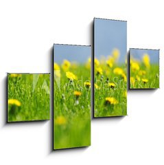 Obraz 4D tydln - 120 x 90 cm F_IB53166656 - Yellow dandelions