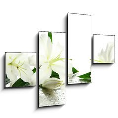 Obraz   Beautiful lily, isolated on white, 120 x 90 cm