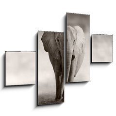 Obraz 4D tydln - 120 x 90 cm F_IB53182375 - Elephant