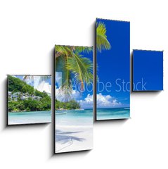Obraz   cocotier pench sur plage des Seychelles, 120 x 90 cm