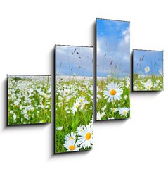 Obraz 4D tydln - 120 x 90 cm F_IB54073835 - many chamomile flowers over blue sky