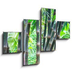 Obraz 4D tydln - 120 x 90 cm F_IB54731714 - Bamboo forest