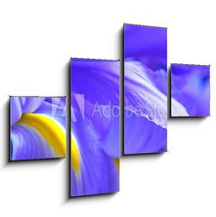 Obraz tydln 4D - 120 x 90 cm F_IB563234 - irises - duhovky