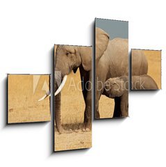 Obraz 4D tydln - 120 x 90 cm F_IB57159640 - African elephant with calf, Amboseli National Park