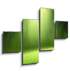 Obraz 4D tydln - 120 x 90 cm F_IB57381095 - Spring forest  background