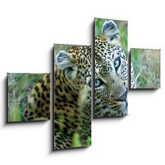 Obraz tydln 4D - 120 x 90 cm F_IB5752327 - Leopard