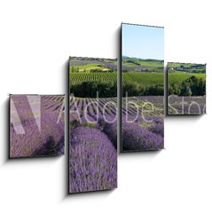 Obraz tydln 4D - 120 x 90 cm F_IB5757066 - panoramique - Champ de lavande en Provence - panoramatick