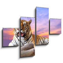 Obraz 4D tydln - 120 x 90 cm F_IB57972790 - Tiger looking something on the rock with beautiful sky at sunset