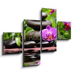 Obraz 4D tydln - 120 x 90 cm F_IB58101039 - orchid