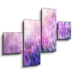Obraz 4D tydln - 120 x 90 cm F_IB58716262 - Lavender Flowers Field. Growing and Blooming Lavender