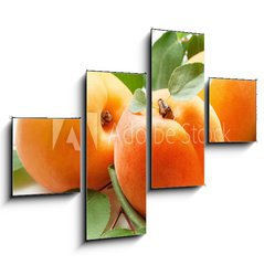 Obraz 4D tydln - 120 x 90 cm F_IB59284348 - Fresh apricots