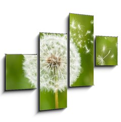 Obraz   dandelion with flying seeds, 120 x 90 cm