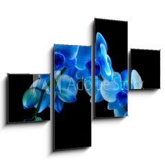 Obraz 4D tydln - 120 x 90 cm F_IB60337173 - Blue sapphire orchid