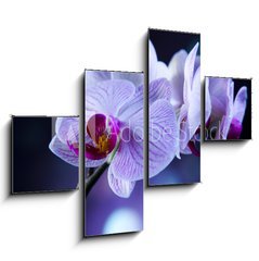 Obraz 4D tydln - 120 x 90 cm F_IB60355807 - Beautiful orchids